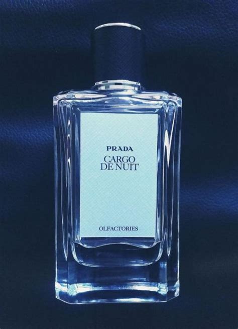 Cargo de Nuit Prada for women and men.